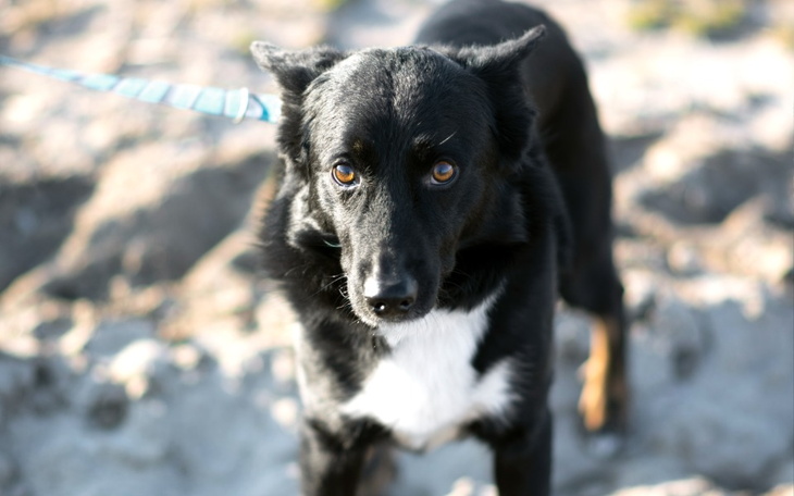 Zbiórka Zdrowie Rockiego - zdjęcie główne