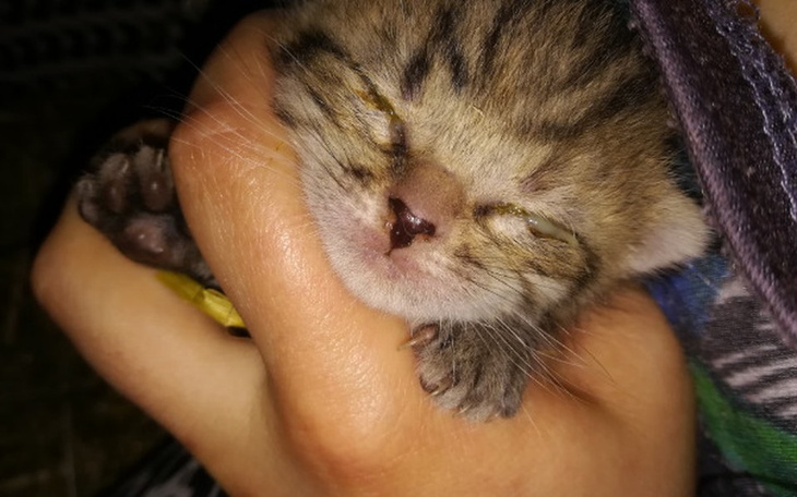 Zbiórka Twoje serce może uratować życie! - zdjęcie główne