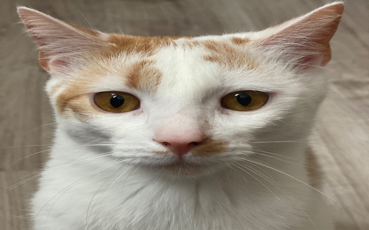 Zbiórka Na dzisiejszy koncert XD - zdjęcie główne