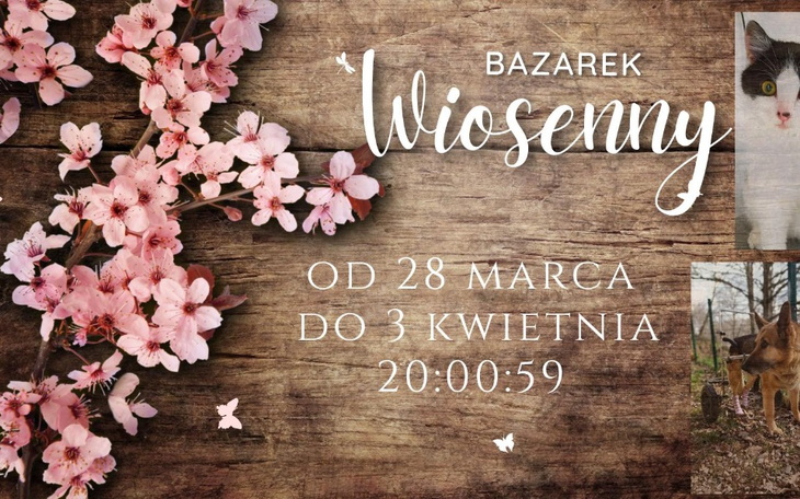 Zbiórka Wiosenny Bazarek Łapy - zdjęcie główne