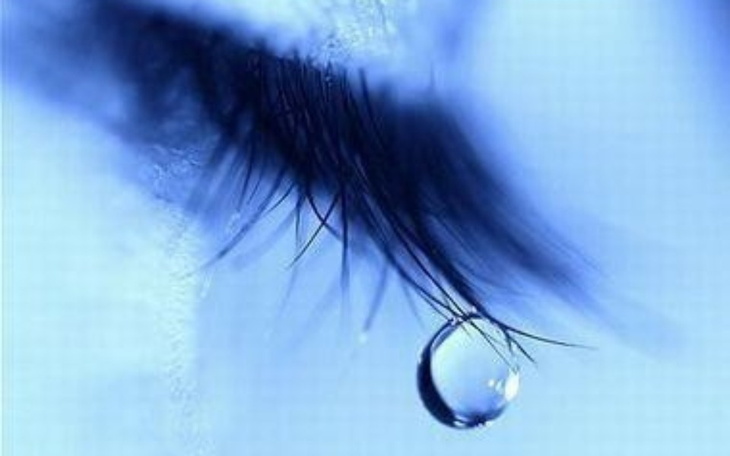 Zbiórka Normalne życie, bez zmartwień - zdjęcie główne