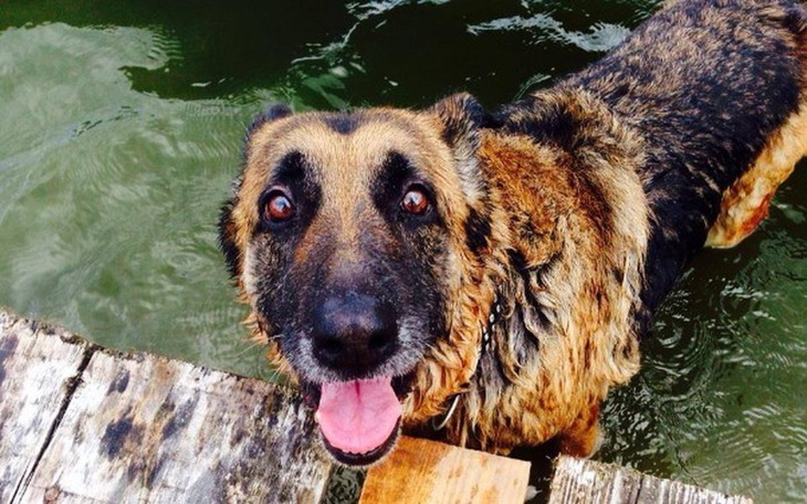 Zbiórka akcja.kastracji - zdjęcie główne