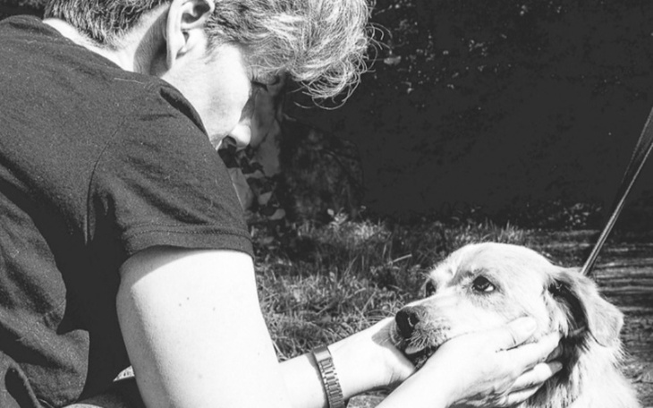 Zbiórka Fundacja SOS Chorzów wysyła SOS - zdjęcie główne