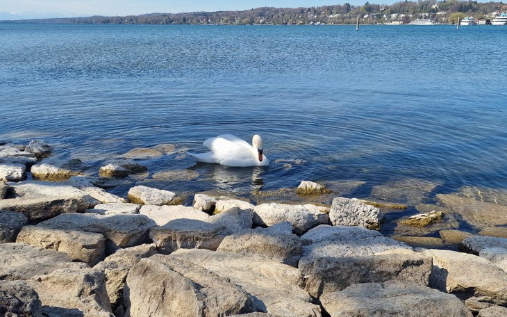 Zbiórka By spelnic dzieciece marzenia... - zdjęcie główne