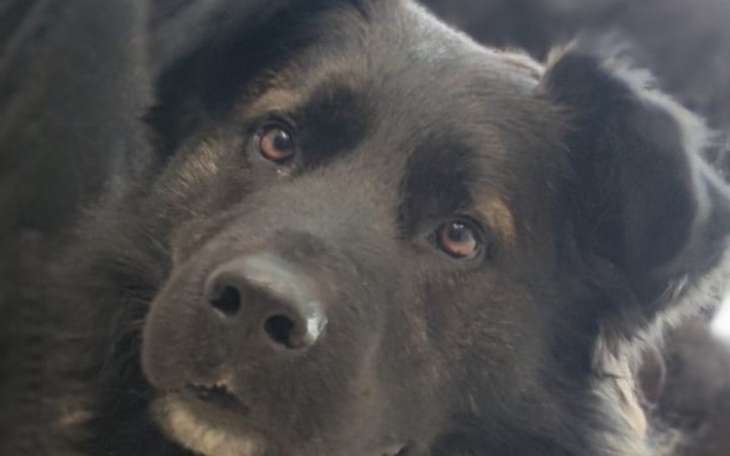 Zbiórka Zbiórka na operację Marleya - zdjęcie główne