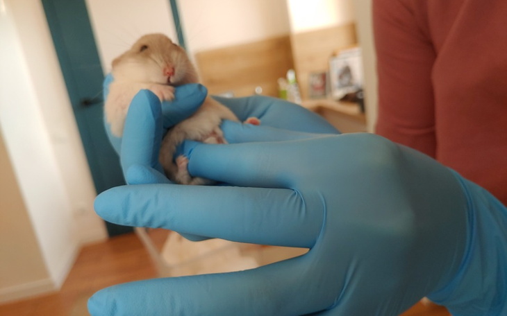 Zbiórka Śmietnikowa dziewczynka - zdjęcie główne