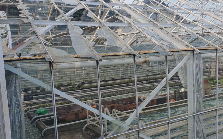 Zniszczona szklarnia, uszkodzone szyby i zniszczone rośliny.