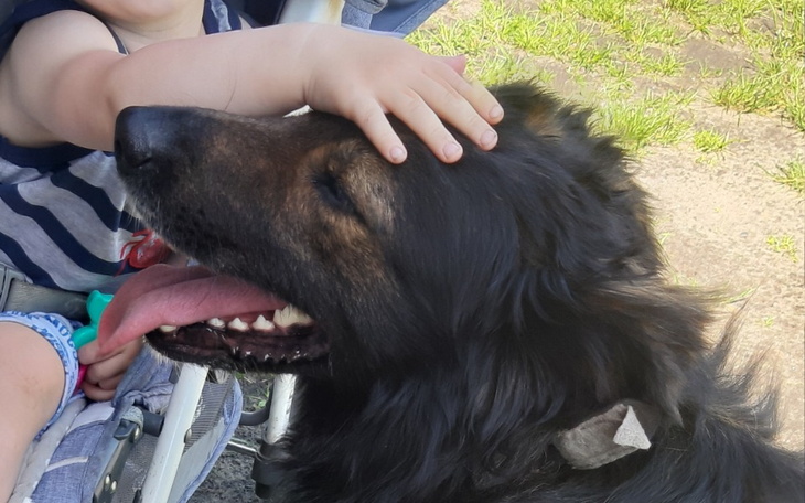 Zbiórka Pomoc dla Miśka - zdjęcie główne