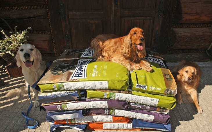 Zbiórka Bank Dobrej Karmy dla Schronisk - zdjęcie główne