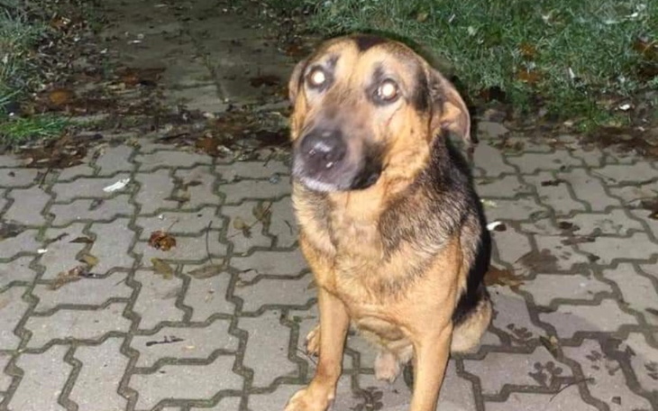 Zbiórka Droga po lepsze życie - zdjęcie główne