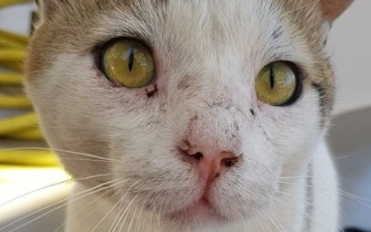 Zbiórka Piekło na ziemi ... - zdjęcie główne