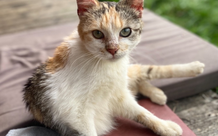 Zbiórka Zastój powakacyjny RATUNKU - zdjęcie główne