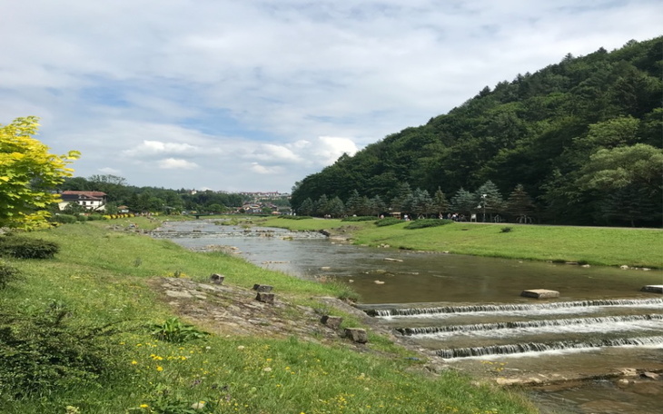 Zbiórka pomoc na jedzenie pomoc - zdjęcie główne