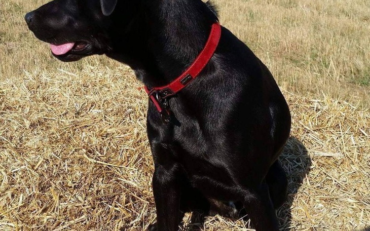 Zbiórka Pomoc zaczac od nowa - zdjęcie główne