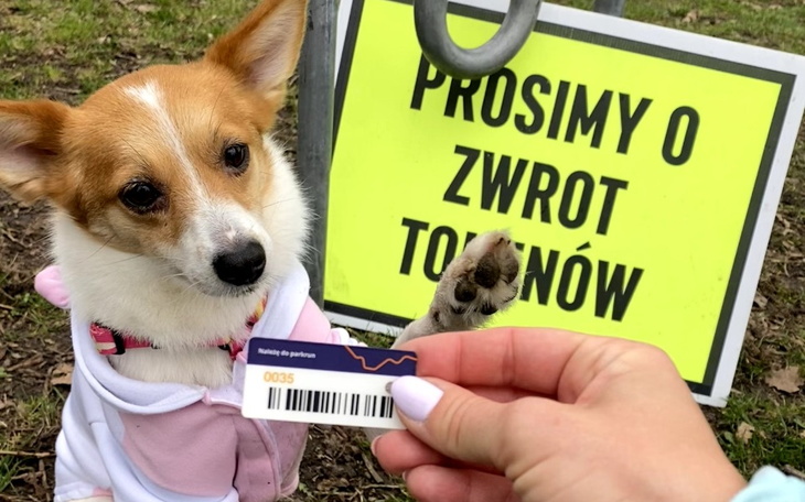 Zbiórka Pomóż Jinie stanąć na 4 łapki - zdjęcie główne