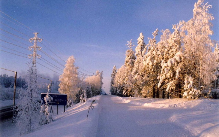 Zbiórka Opał na zimę Covid 2020 - zdjęcie główne