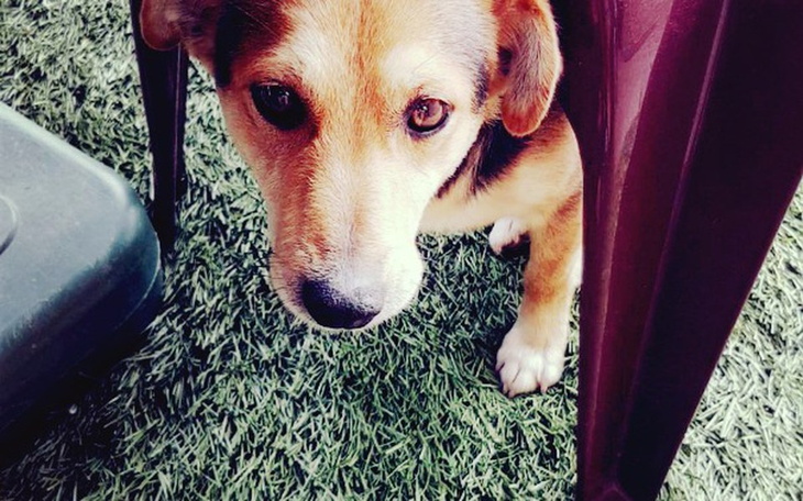 Zbiórka Znów chce widzieć - zdjęcie główne