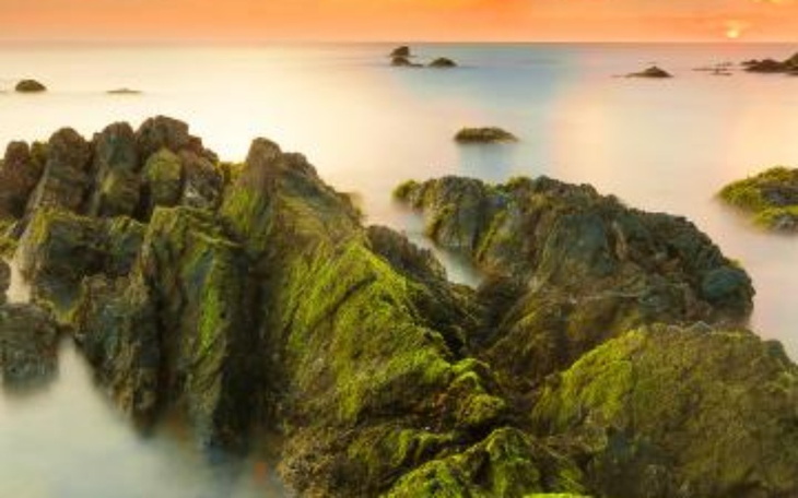 Zbiórka Fundacja leasing dla kazdegob - zdjęcie główne