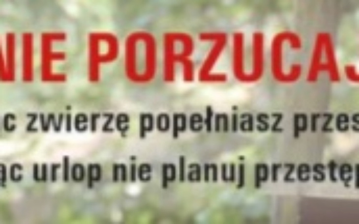 Zbiórka Zbiórka na schroniko - zdjęcie główne