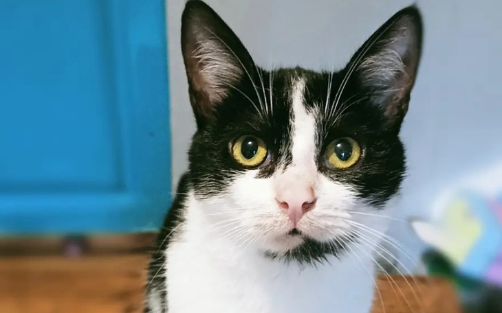 Zbiórka Siostry liczą na pomoc - zdjęcie główne