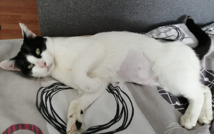 Zbiórka Felek potrzebuje Waszej pomocy - zdjęcie główne