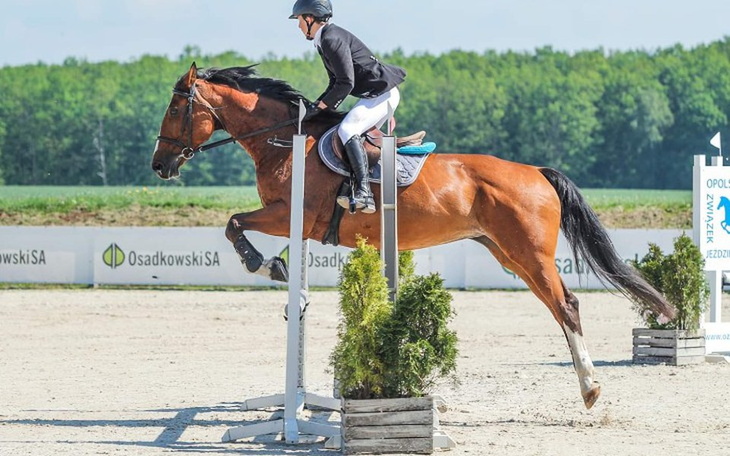 Zbiórka Koń na własność - zdjęcie główne