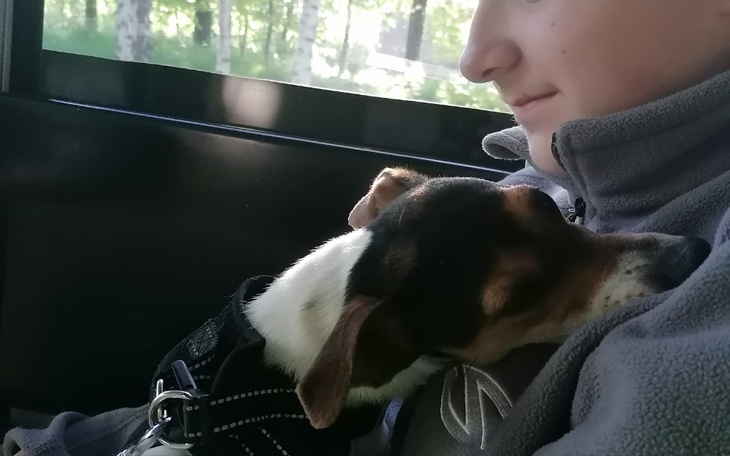 Zbiórka Pomóż turnus rehabilitacyjny - zdjęcie główne