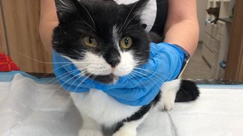 Zbiórka Prymus - miniaturka zdjęcia