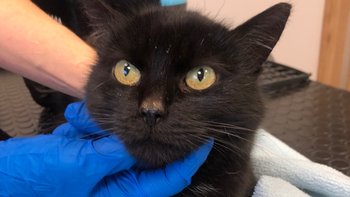 Zbiórka Zella - miniaturka zdjęcia