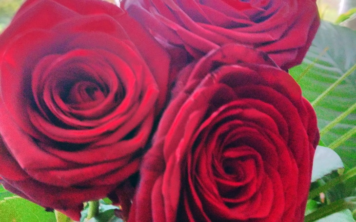 Zbiórka Mama z 3 dzieci - zdjęcie główne