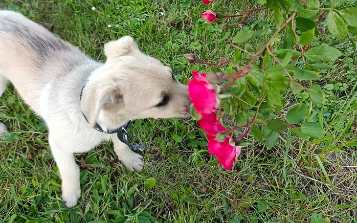 Zbiórka Na otwarcie swojego sklepu - zdjęcie główne