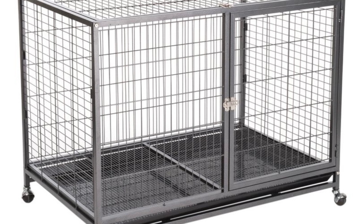 Metalowa klatka dla zwierząt, z otwartymi drzwiami.