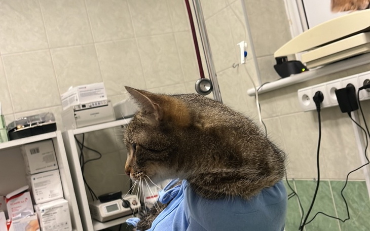 Zbiórka Na leczenie Emila - zdjęcie główne