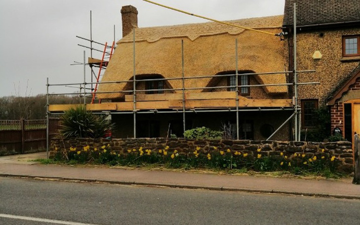 Zbiórka Na wymarzony domek z działką - zdjęcie główne