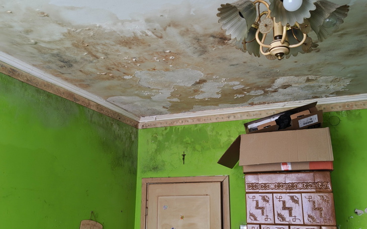 Zniszczony sufit w zielonym pokoju, z pleśnią i kartonami.