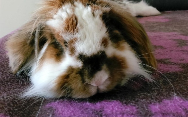 Zbiórka Chce spokojnie żyć - zdjęcie główne