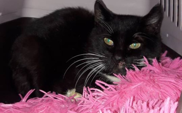 Zbiórka Operacja usunięcia polipa - zdjęcie główne