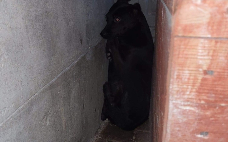 Zbiórka Oswoić strach - zdjęcie główne