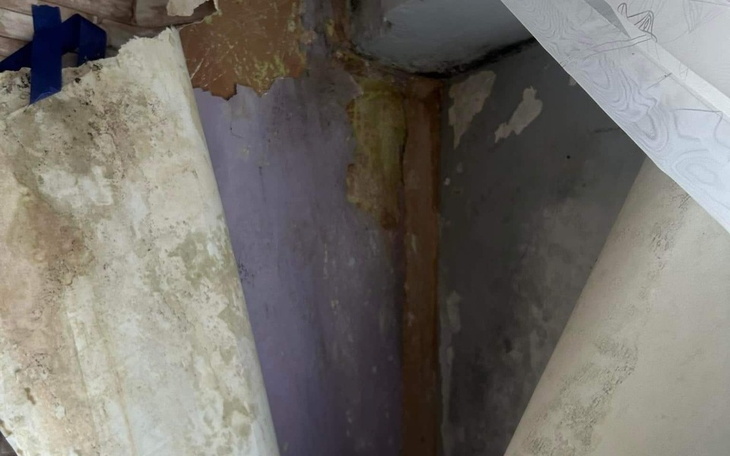 Zbiórka Proszę pomóż nam - zdjęcie główne