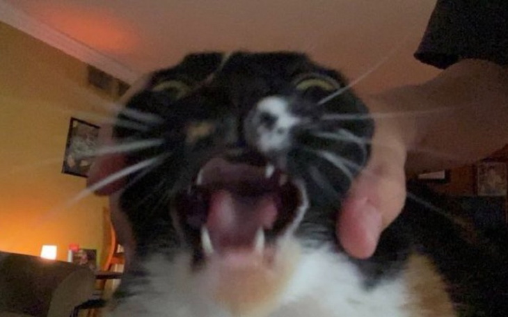 Zbiórka yyyyttt - zdjęcie główne