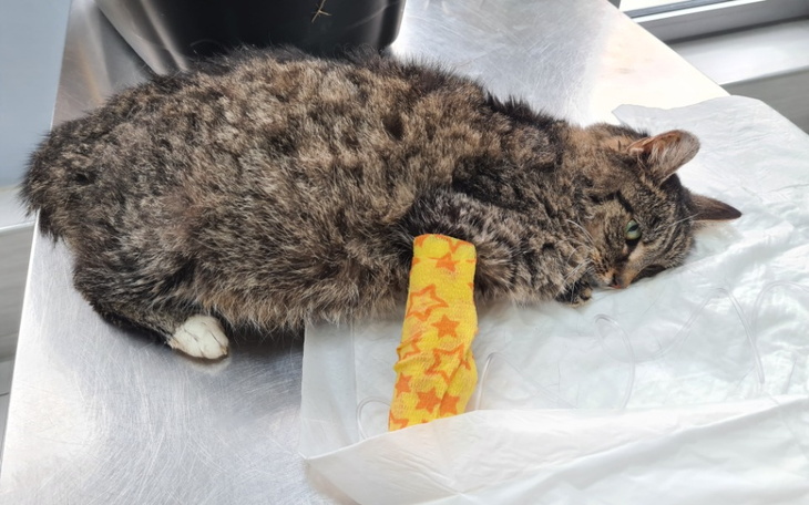 Zbiórka Życie na kredyt - zdjęcie główne