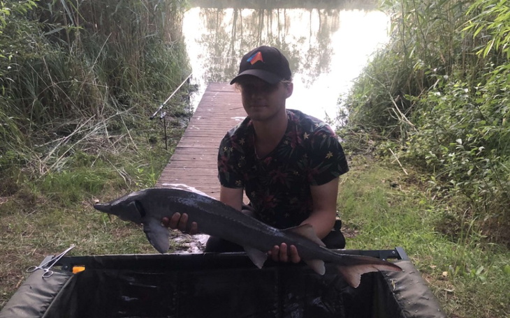 Zbiórka 4 Na samochód 2 moich marzeń 0 - zdjęcie główne