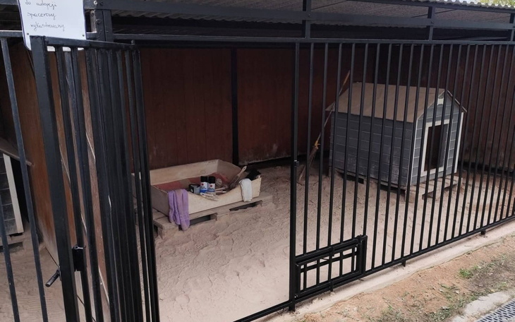 Zwierzęta w schronisku, które potrzebują pomocy.