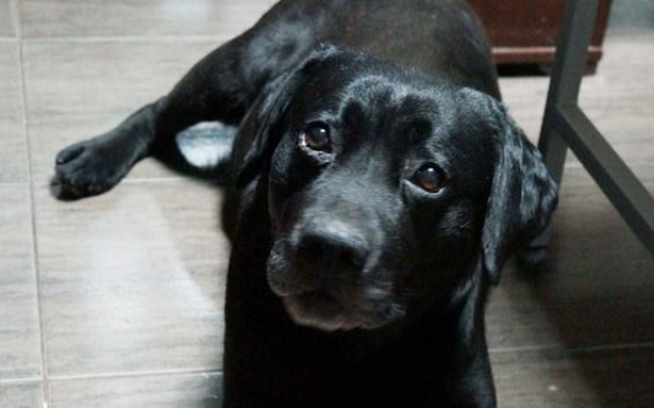 Zbiórka Pomóż mi poruszać się bez bólu:( - zdjęcie główne