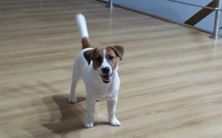 Zbiórka Potrzebuje BUDY ! - zdjęcie główne