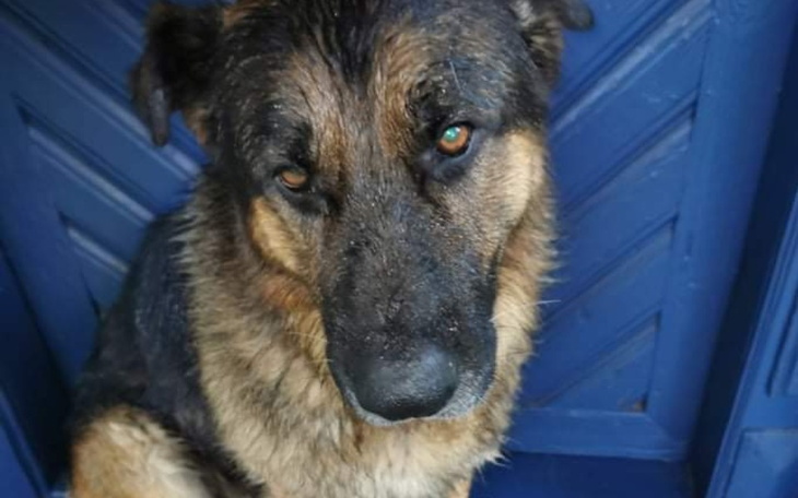 Zbiórka Na start w pomocy. - zdjęcie główne