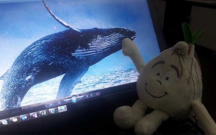 Pluszowa cebula z uśmiechem, obok zdjęcia wieloryba na ekranie.