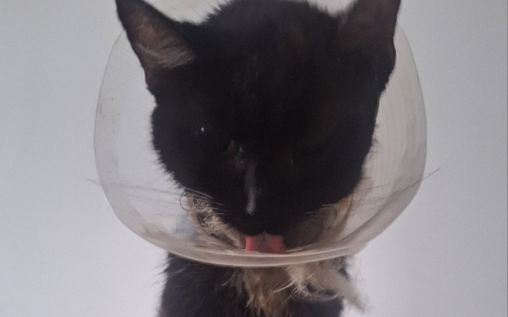 Zbiórka Lady przegrała.... - zdjęcie główne