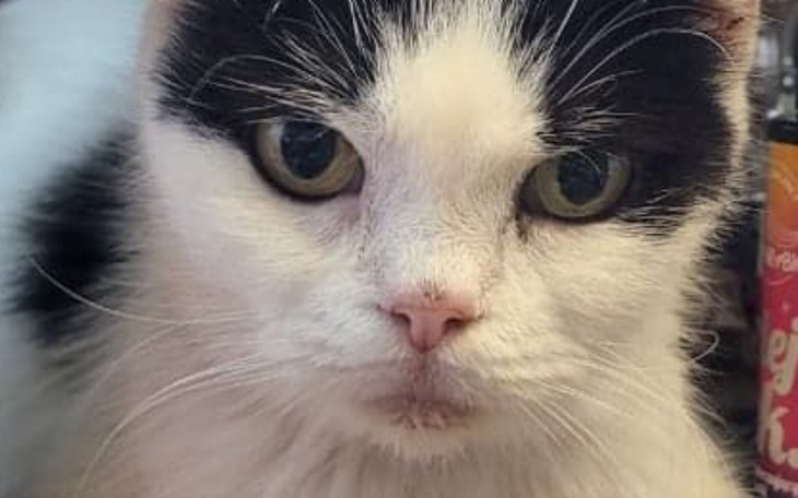 Zbiórka Tylko ją zwiąż żeby nie wróciła - zdjęcie główne