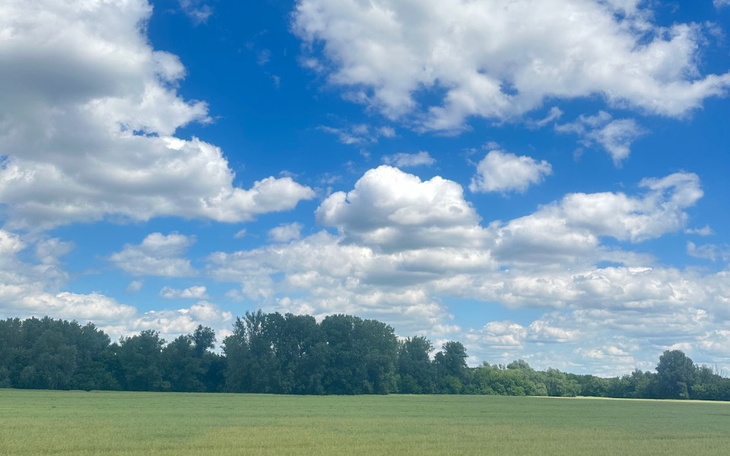 Zbiórka Czy mam szansę zacząć od nowa - zdjęcie główne